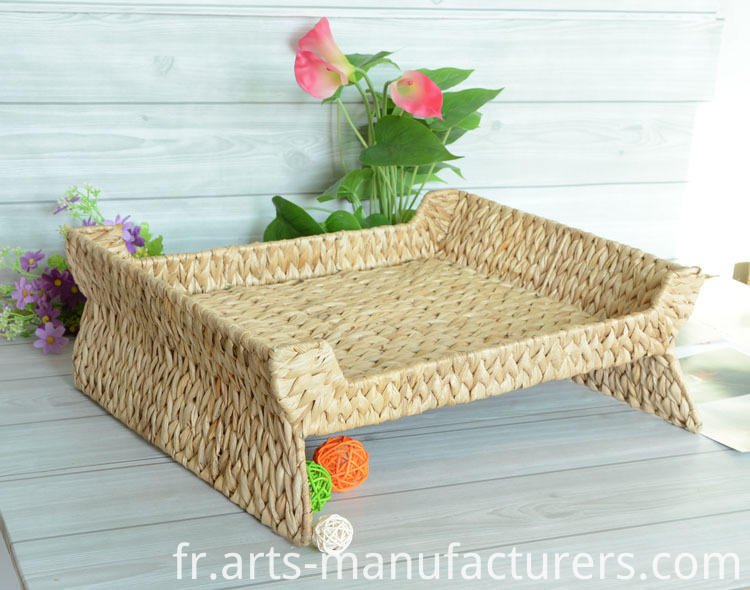 animalerie pet house